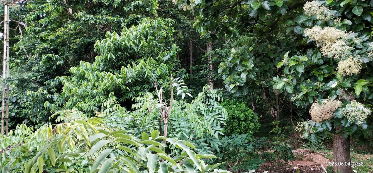 Floral Homestay Thekkady Exterior photo